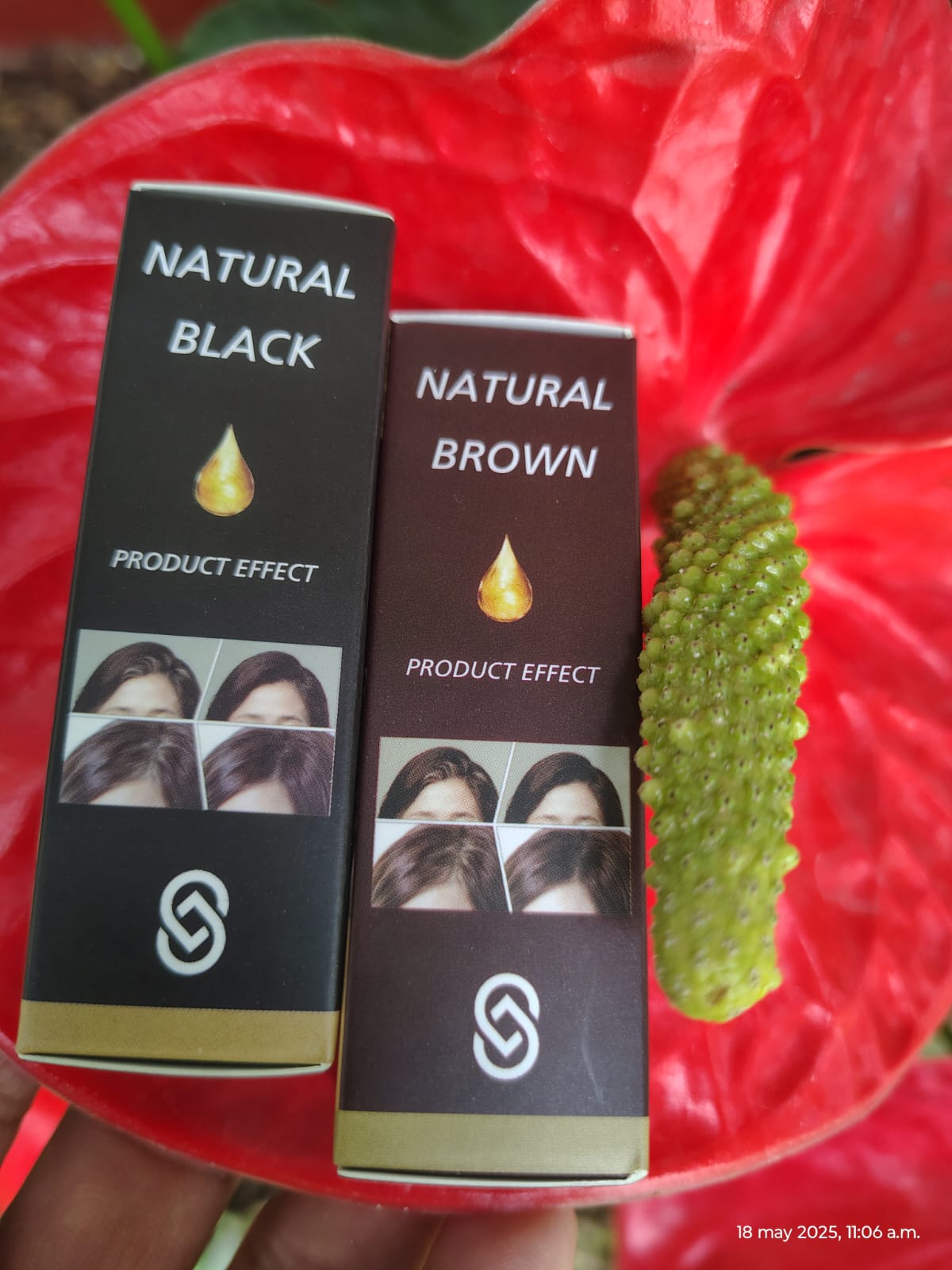 3x1 LAPIZ CUBRE CANAS